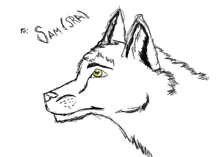 Sam(SRA) Gift art WIP