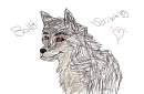 balto scribbles