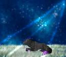 moonlight rendevous