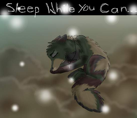 Sleep While You Can