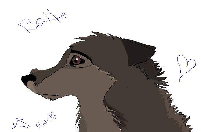 random balto