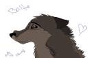 random balto