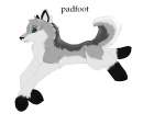  Padfoot Request