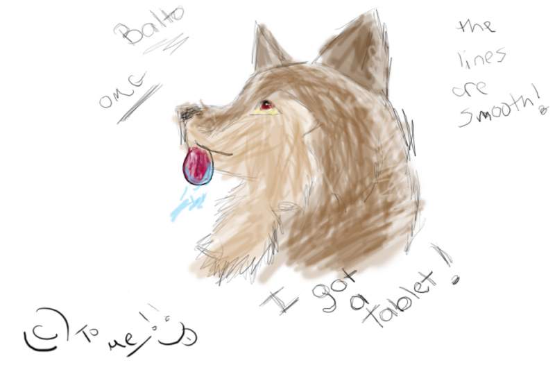 balto tablet crap