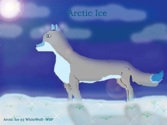 Arctic Ice