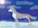 Arctic Ice