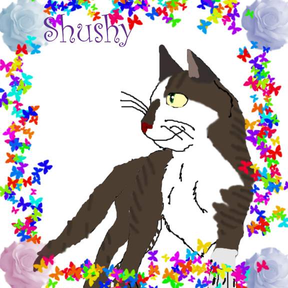 Shushy