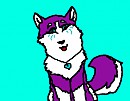 Cute Purple Husky
