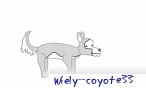 wiely_coyote33