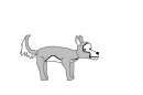 Balto