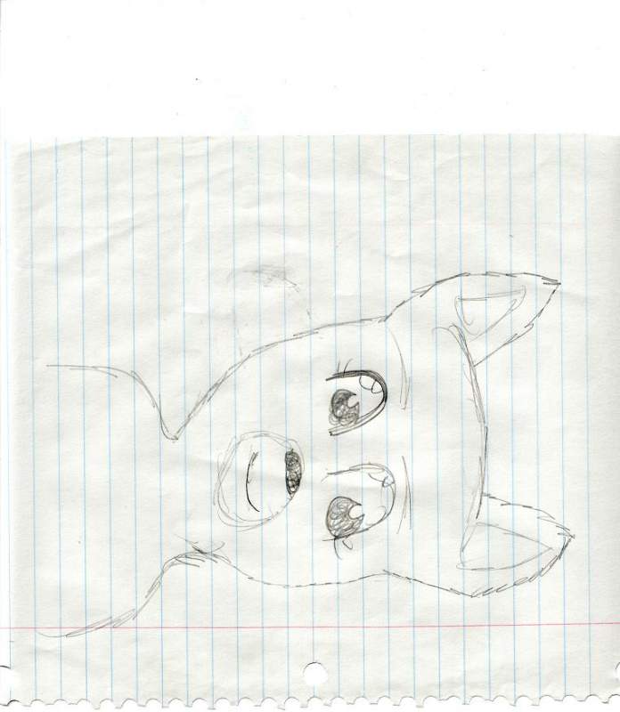 DOg thing