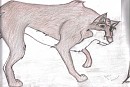 Balto 1998