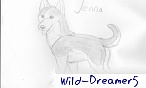 Wild-Dreamer5