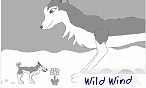 Wild Wind