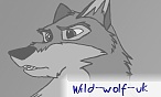 wild_wolf_uk