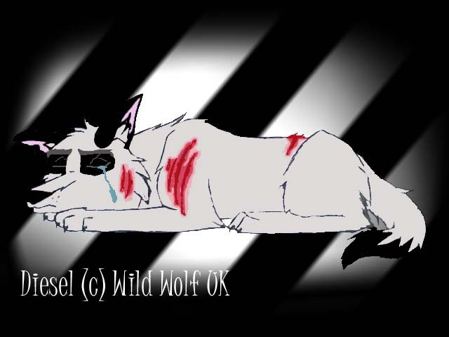 Diesel - Aftermath of a fight