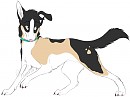 Dierdre