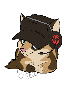 Meet The Scout; Rio