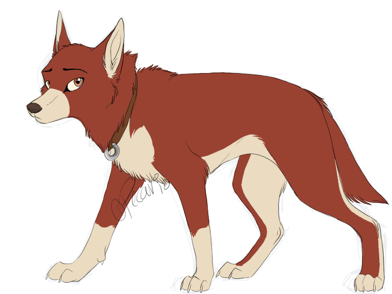 Red-Faced Pup