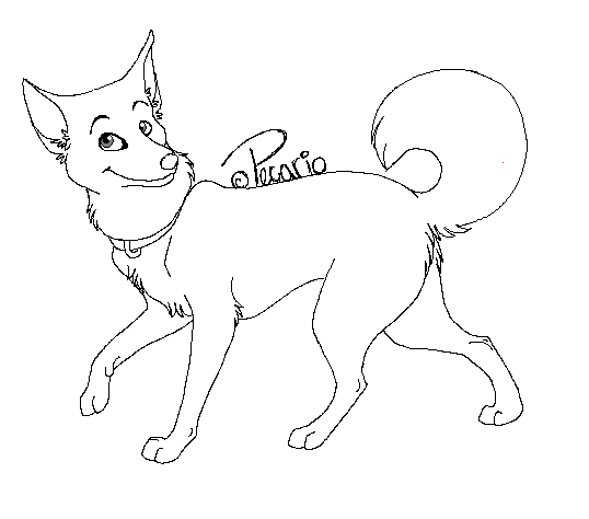 Female Husky Lineart