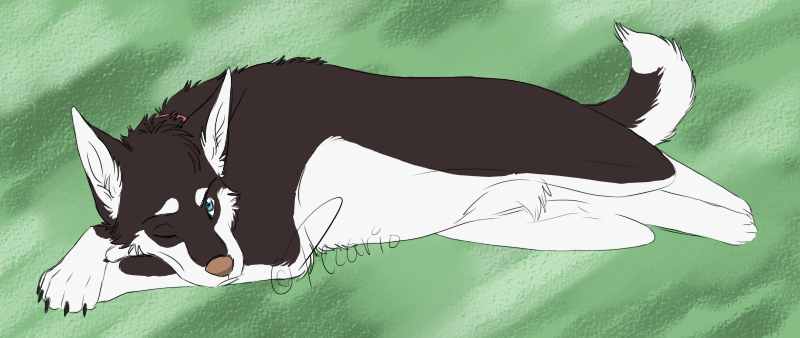 Naptime is Over