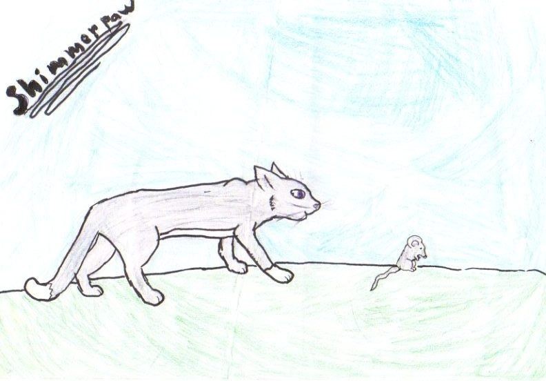 Shimmerpaw