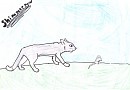 Shimmerpaw