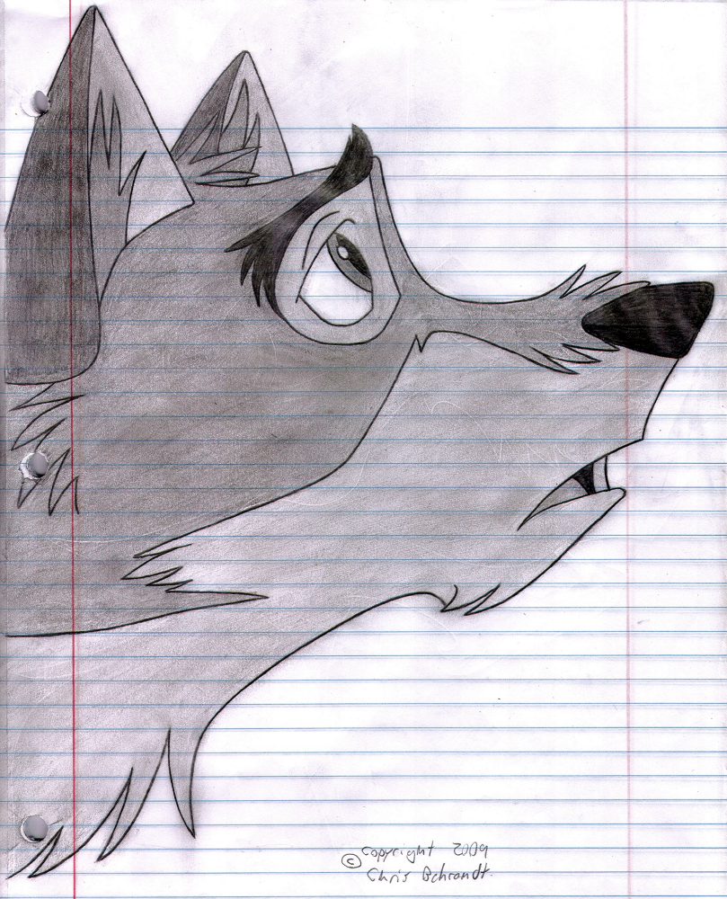 Balto Looking Up