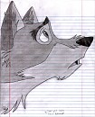 Balto Looking Up