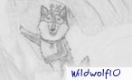 wildwolf10