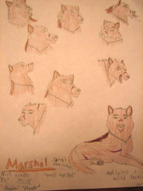 Marshal