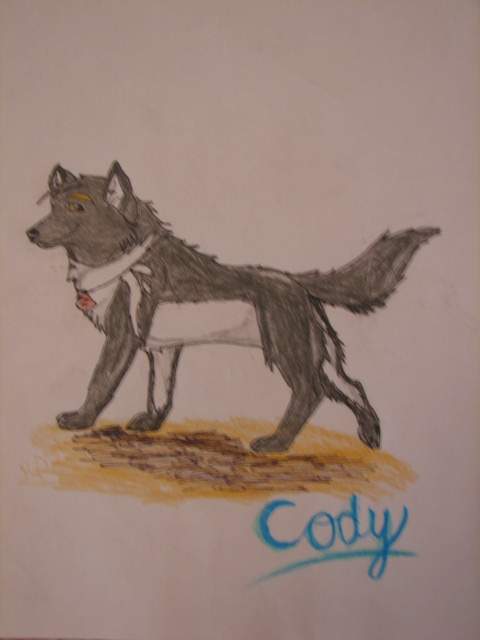Cody Maverick (I Like cody mavecork better)
