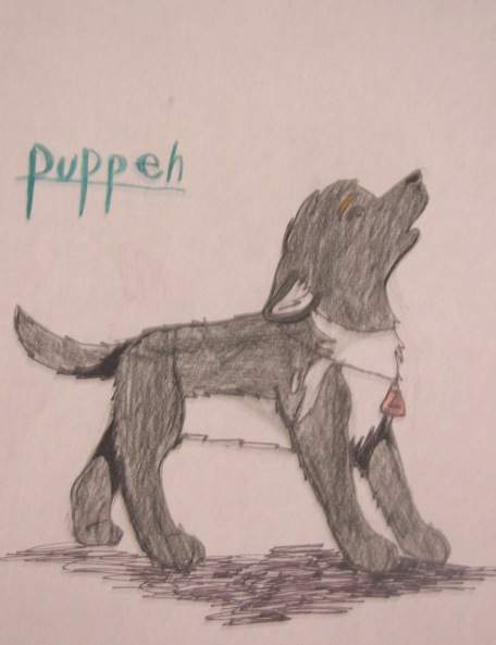 puppeh Cody
