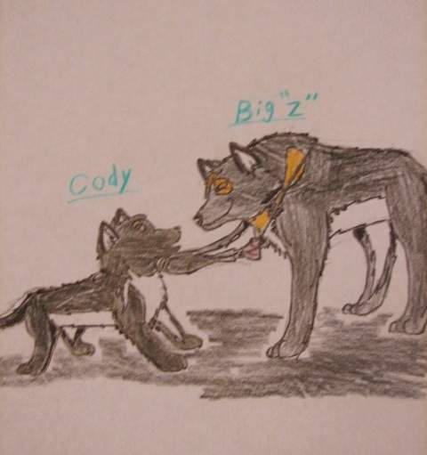 Puppy Cody and younger big 
