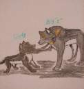 Puppy Cody and younger big  z 