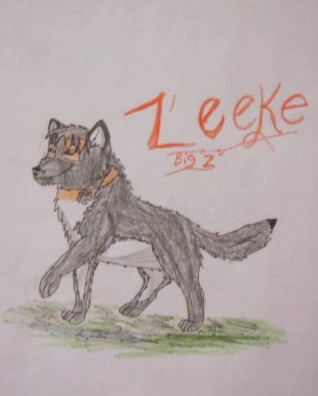 Zeek (other wis known as geek,big 