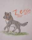 Zeek (other wis known as geek,big  z ,'z')