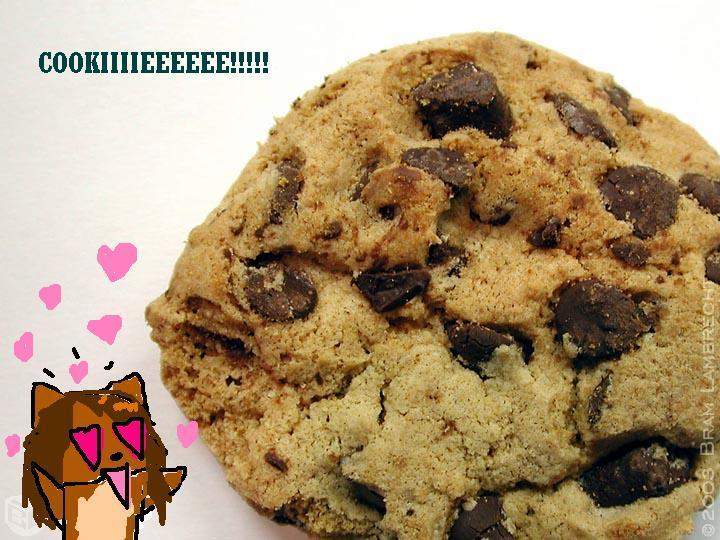 a cookie for cookie