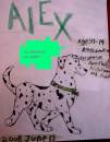 Alex