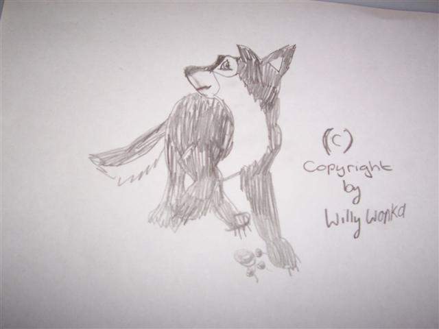 myself as a wolf pup
