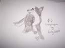 myself as a wolf pup