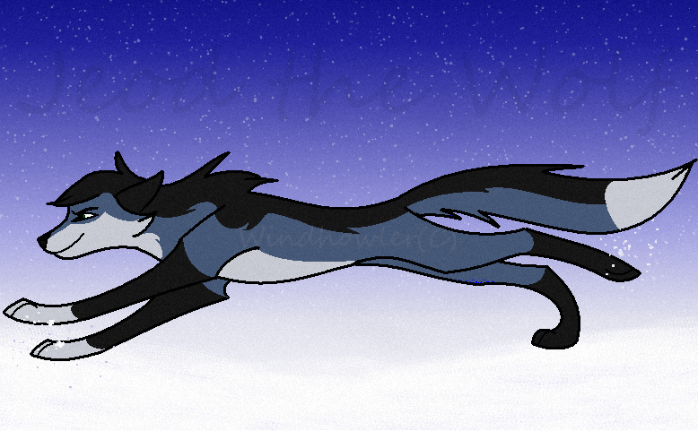Request for Jeod the Wolf: Jeod