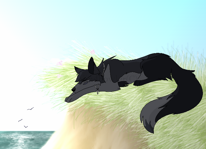 Black: Request for Blackwolf123
