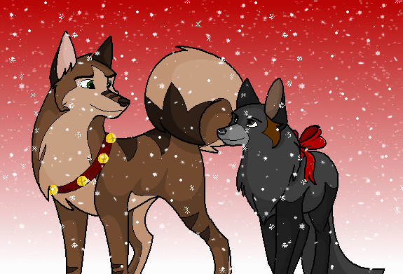 Christmas Portrait