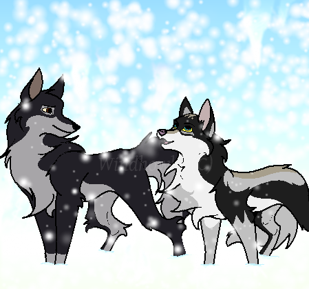 Raptor and Ashes Request