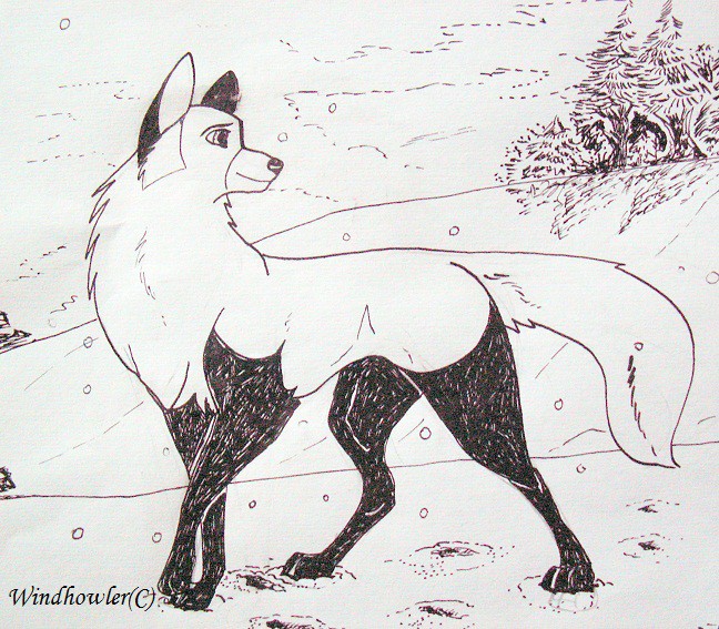 Ink on Paper: Melle