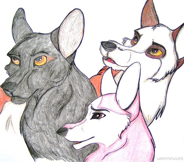 Zekile, Britocka and Icarus