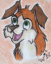 Koltav Puppy