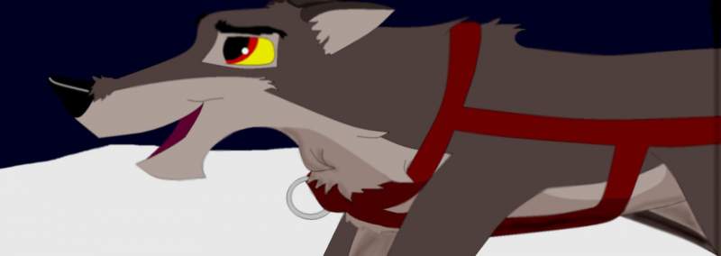 Balto!!!!