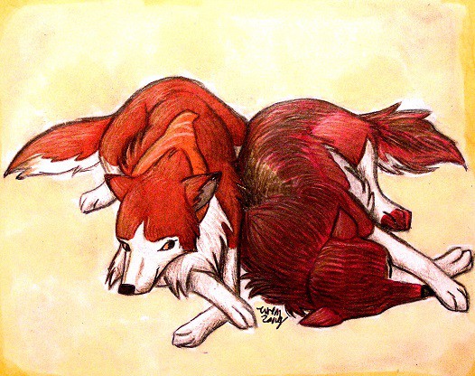 Trade With Artic Wolf - Dog Tired